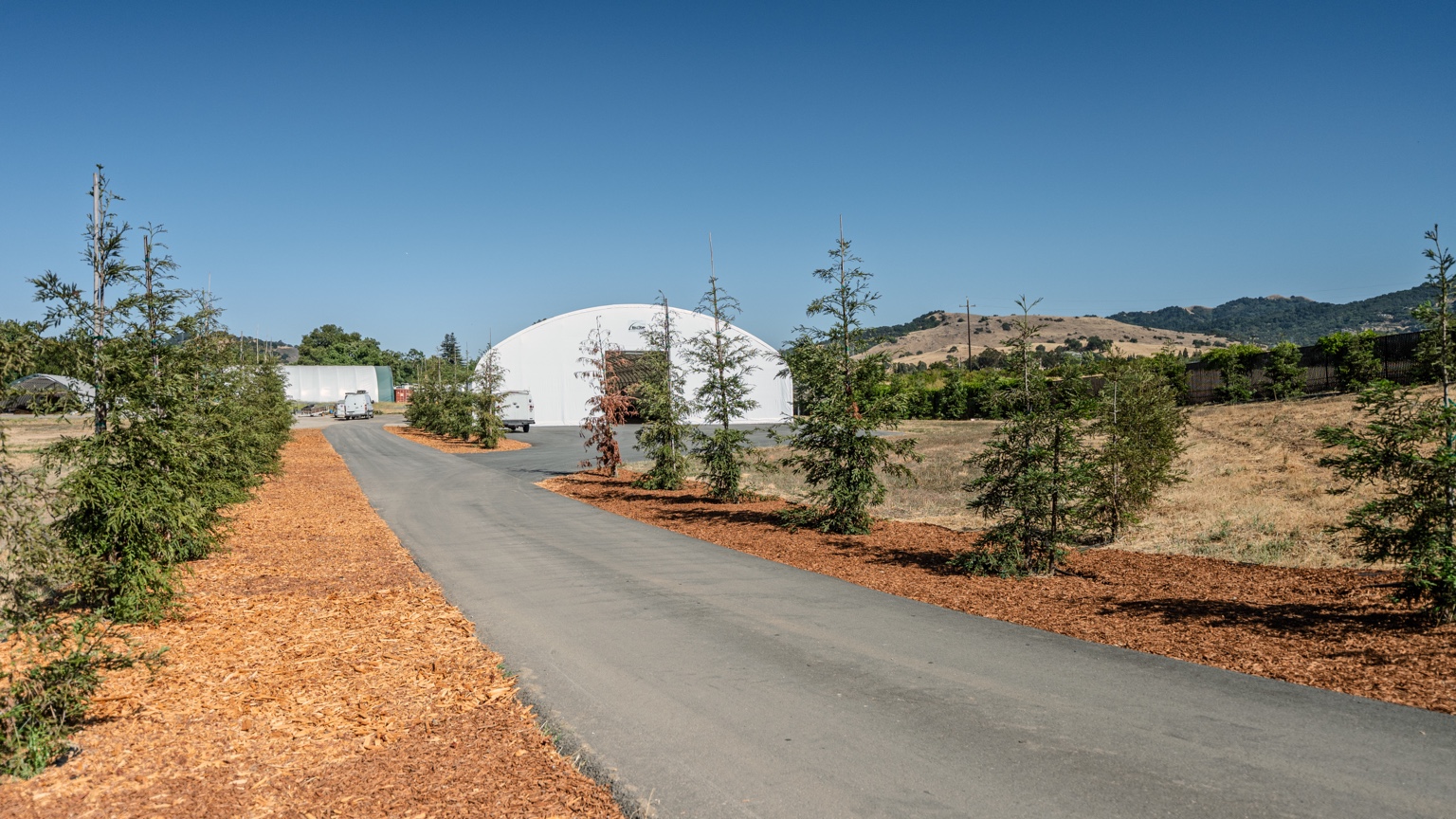 Driveway leading to storage tent